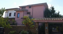 Dettagli